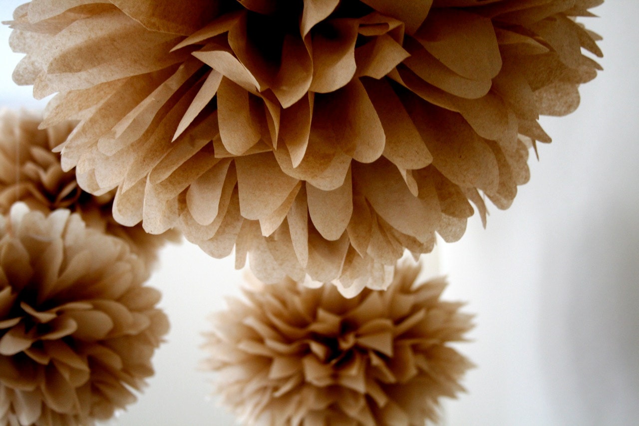 The Kraft Project ... 5 tissue paper poms // wedding reception // home decor // nursery // tea party // decorations Il_570xn