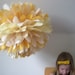 Dulce de Leche... 1 tissue paper pom // wedding reception // birthday party // baby shower // party decorations