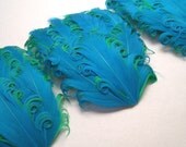 CLEARANCE - Imperfect Turquoise Curled Goose Feather Pads- 3.00 ea