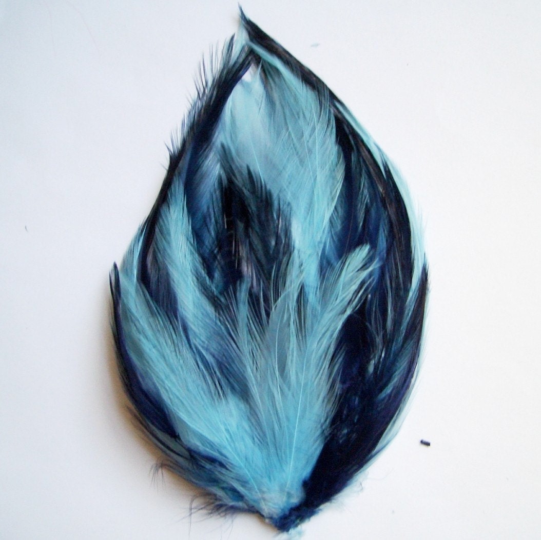 Blue Hackle