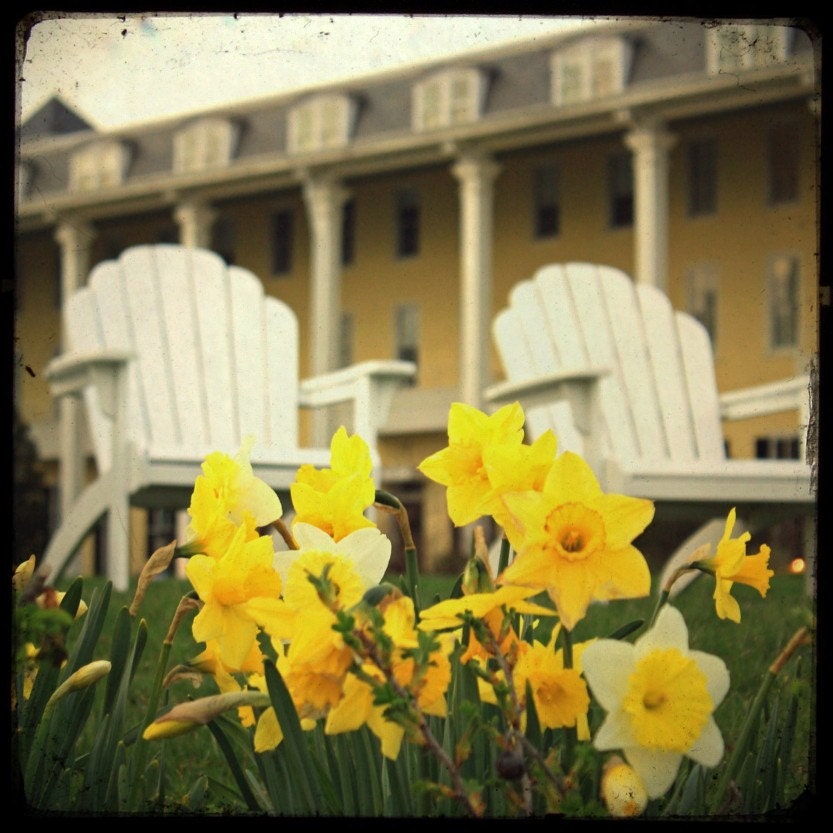 Chairs at Congress Hall - Ttv - 8x8 Fine Art Photography Print