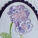Pansy watercolor flower - Handmade Greeting Card - Hand Stamped