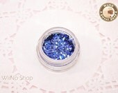 Dark Blue Hexagon Holographic with Silver Glitter Dust Powder Nail Art Craft (NA63)