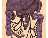 Organs Print