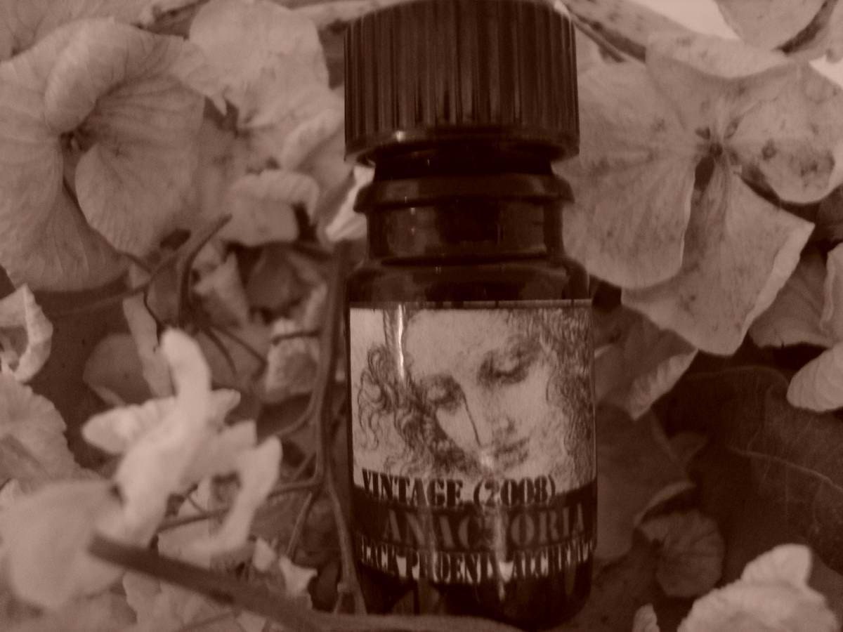 Anactoria 2008 Perfume Oil - 5ml - Black Phoenix Alchemy Lab Vintage