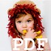 PDF Crochet Shaggy Lion Hat Pattern for Babies, Children