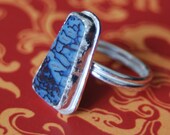 Sterling Silver Dinosaur Bone Ring, Size 8