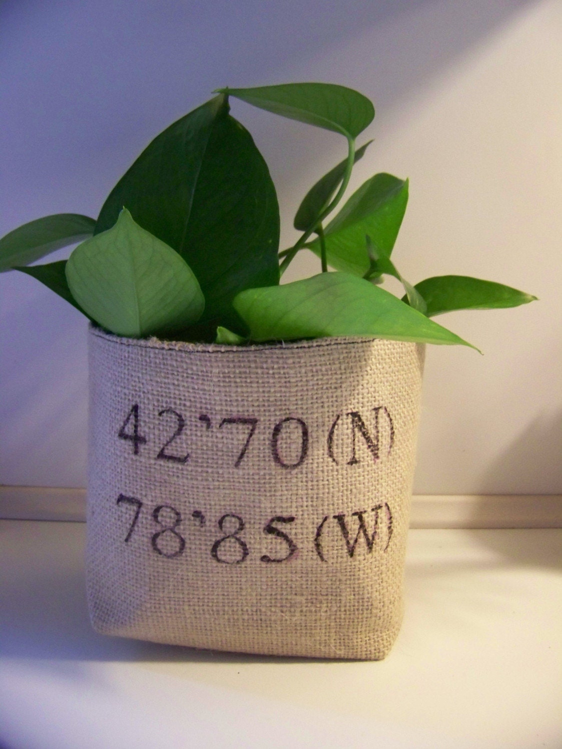 CUSTOMIZABLE- your coordinates- latitude longitude basket