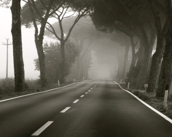 8x10 Matte Mornings Road black and white print
