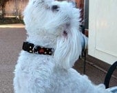 Dog Collar Tutorial, PLUS Video and BONUS--Make it Yourself, Instructional EBook