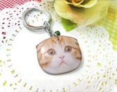 Orange and white Scotland fold Cat head keychain - A0015-K C16