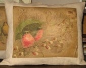 French Bird Postcard Pillow Vintage Style Brown Throw Pillow Decorative Cushion French Postcard Red Robin Bird Cottage Chic Decor