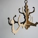 fancy chandelier in white