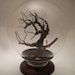 Custom Steampunk Terrariums - LARGE