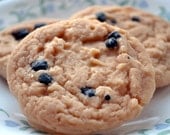 Cookie Soap - Chocolate Chip Cookie Vegan Soap