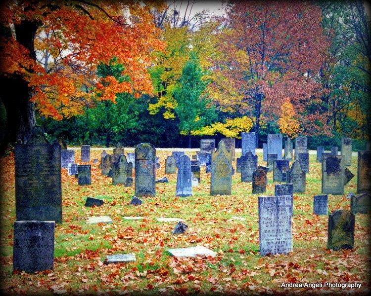 Fall cemetery. Fine art photograph. Matted.