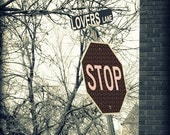 Lovers Lane. Fine art photo. Metallic.