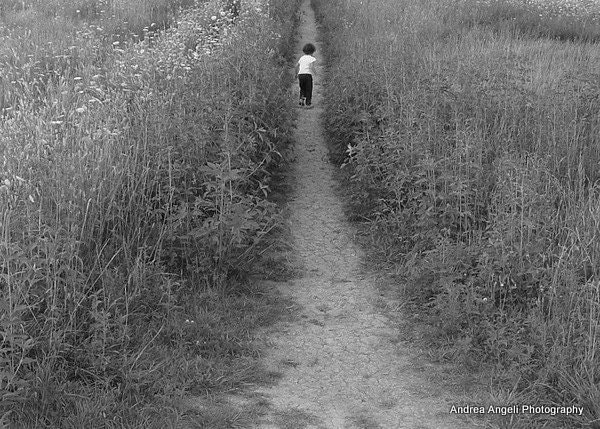 Adventure to the top. Matted fine art photograph.