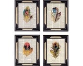 VINTAGE FEATHER COLLECTION art print beige blue yellow green peacock dictionary art print book page art print on dictionary print 8x10 5x7