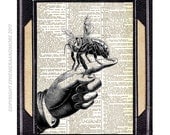 HONEY BEE on Finger honeybee art print black white dictionary print book page art print wall decor dictionary art print  8x10