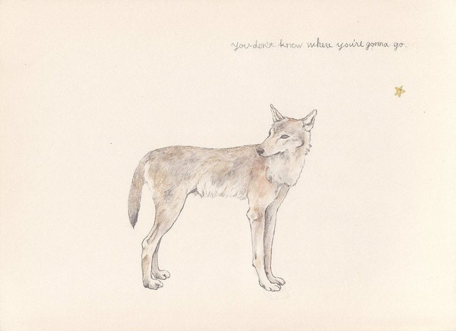 A wolf - postcard