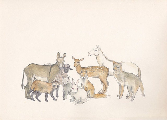 Animals - postcard
