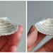 shell poem