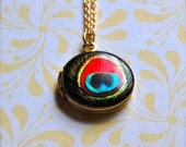 The Tiniest Red Peacock Feather Locket - Vintage