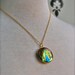 The Elegant Peacock Locket II