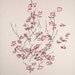 Pink Flowers