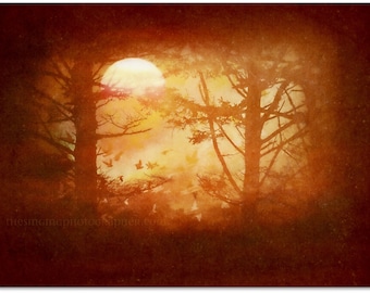 Harvest Moon - 8x10 Fine Art Photo Print