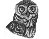 A4 Little owl wildlife art  print