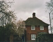 The Neighbours - 4x6 Print in Ivory 8x10 Mount