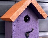 CATSKILL DRAGONFLY Whimsical Reclaimed Wood Bird House