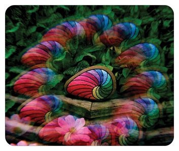 Mouse Pad, Unique Multi Image Floral Design , Gift for Her or Him, Home or Office Computer Accessory