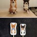 Custom Pet Cake Topper - charitable purchase