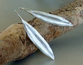 Olive-tree leaf sterling silver earrings