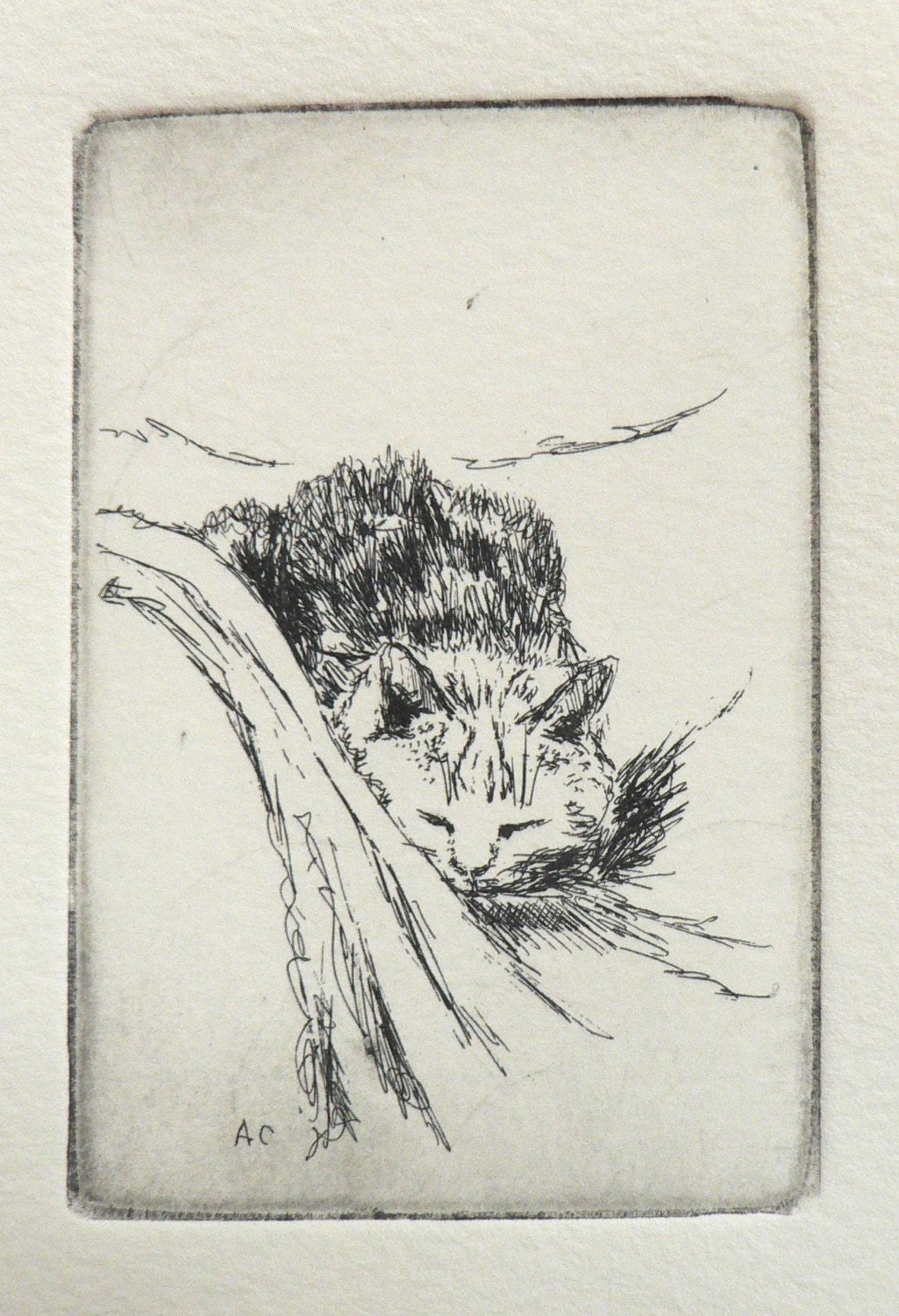 original cat etching