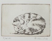 original etching of sleeping cat - Zzzz