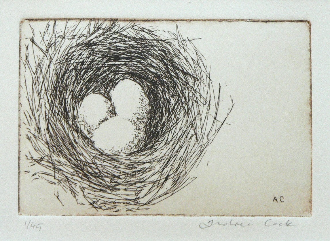 original etching of a birds' nest with 3 eggs