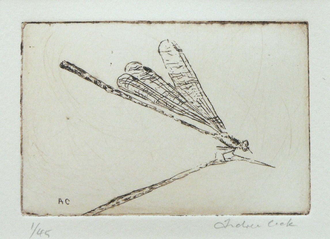 original etching of a dragonfly