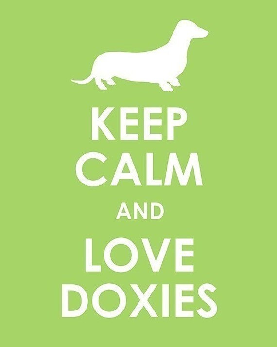 Keep Calm and Love Doxies archival Print