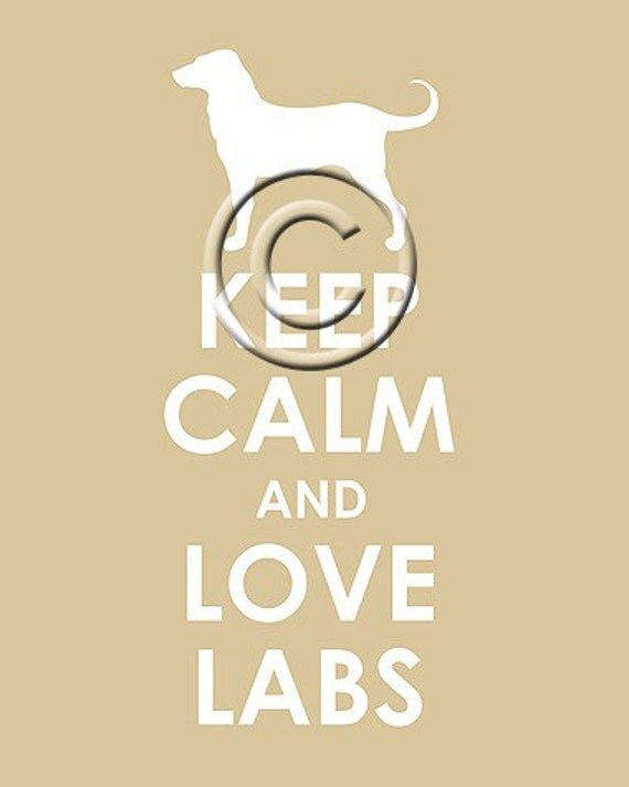 Keep Calm and Love Labs archival print