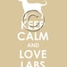 Keep Calm and Love Labs archival print