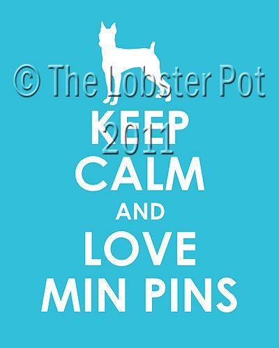 Archival Photo Printing on Reserved For Heidihodapp Keep Calm And Love Min Pins Archival Print