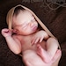 Newborn Cocoon Photo Prop Coffee Brown Fabric Cocoon Used In Professional Photography of Newborn, Infant Portrait Sessions