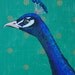 Original Peacock Painting on a Vintage Book Cover