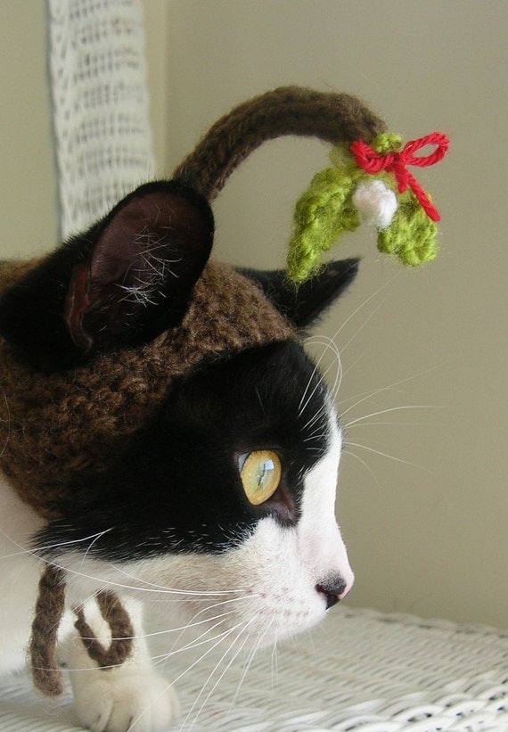 Under the Mistletoe Christmas Cat Hat