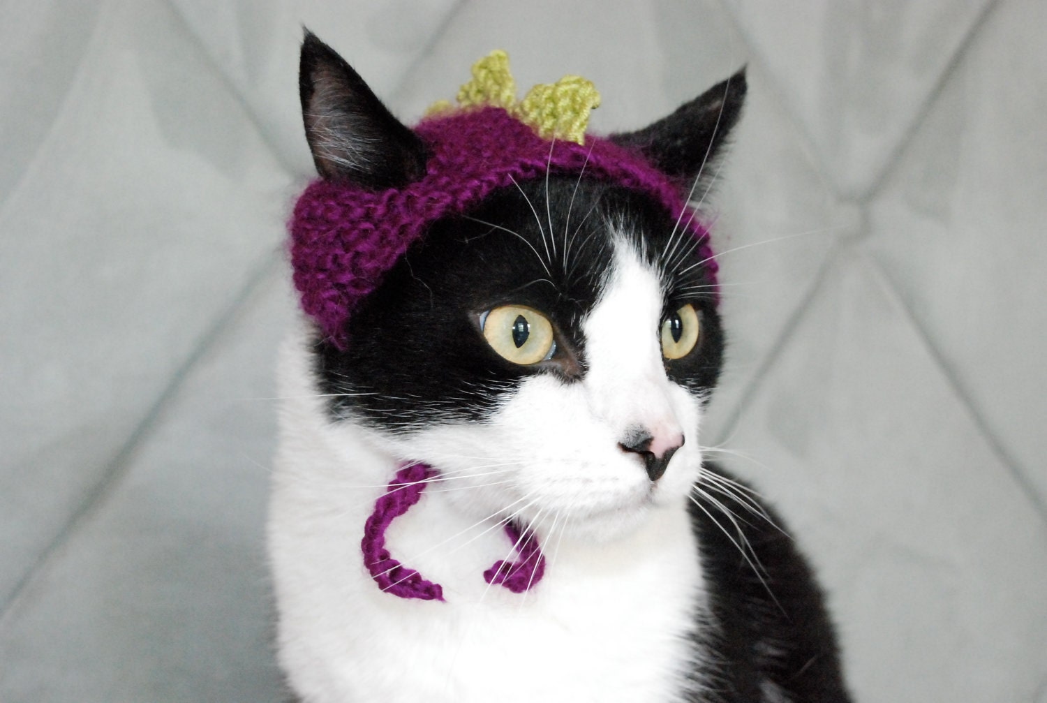 The Dinosaur Hat in Magenta(ish)