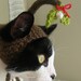 Under the Mistletoe Christmas Cat Hat